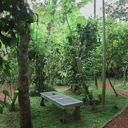 Shady Cottage Ahangama Extérieur photo